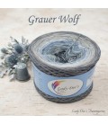 Grauer Wolf - 4 нитевидные градиента пряжи