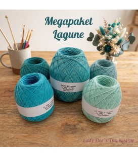 Mega package Lagune - 5 écheveaux - 600g