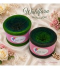 Waldfarn - 4 fils de gradient filamenteux