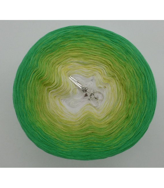 Lemongras (Lemongrass) - 4 ply gradient yarn - image 3