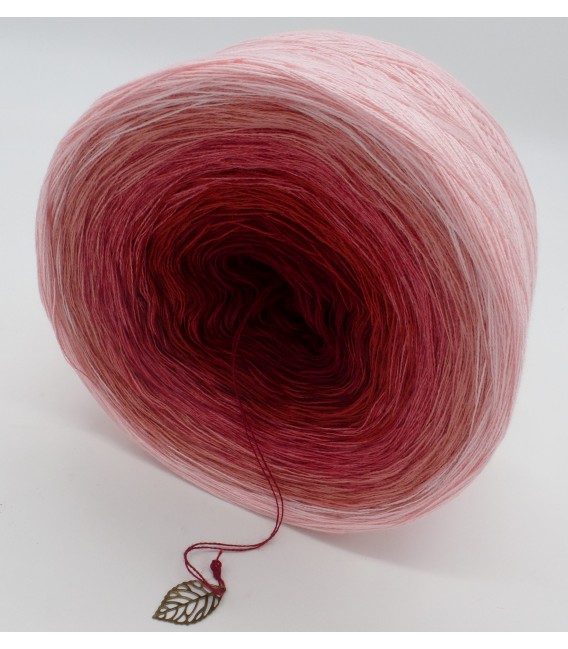 Röschen Rot - 2 ply gradient yarn image 5