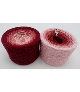 Röschen Rot - 2 ply gradient yarn