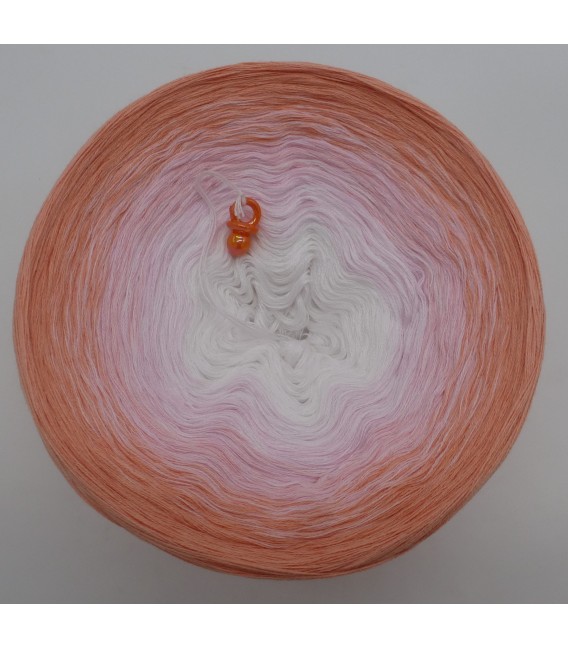 Little Darling - 4 ply gradient yarn - image 3