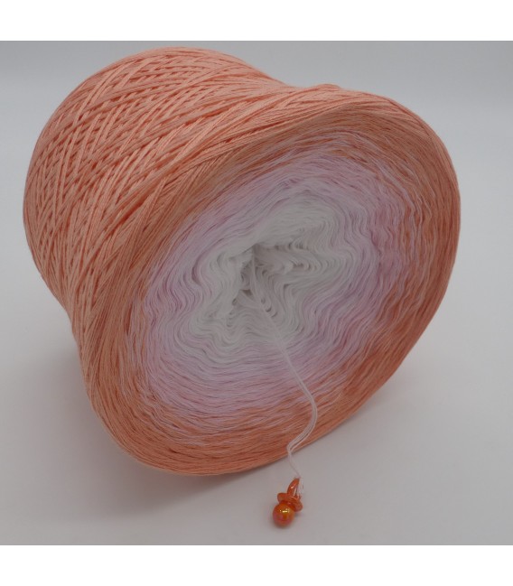 Little Darling - 4 ply gradient yarn - image 4
