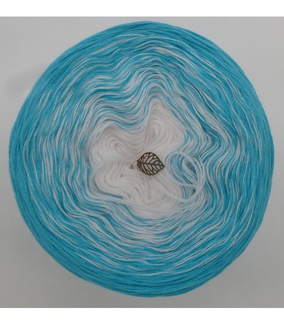 Ice Bonbon - 5 ply gradient yarn image 3