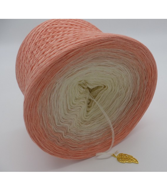Pfirsich Blüte (Peach blossom) - 4 ply gradient yarn - image 6
