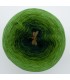 Farben des Glücks (Colors of happiness) - 4 ply gradient yarn - image 7 ...