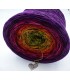 Farbspektakel - Warme Farbtöne (Color Spectacle - Warm colors) - 4 ply gradient yarn - image 4 ...
