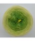 Kiwi küsst Limette (Baisers Kiwi Limone) - 3 fils de gradient filamenteux - photo 7 ...