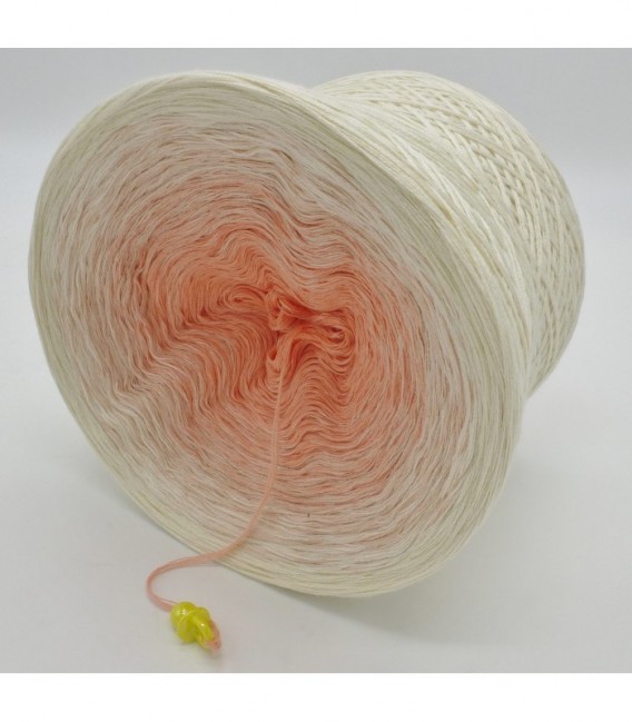 Pfirsich Blüte (Peach blossom) - 4 ply gradient yarn - image 9