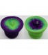 Poison - 4 ply gradient yarn - image 1 ...