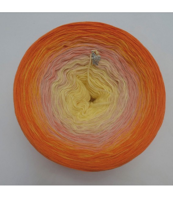 Lady Sunshine - 4 ply gradient yarn - image 7