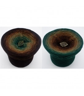 Secrets of Nature - 4 ply gradient yarn