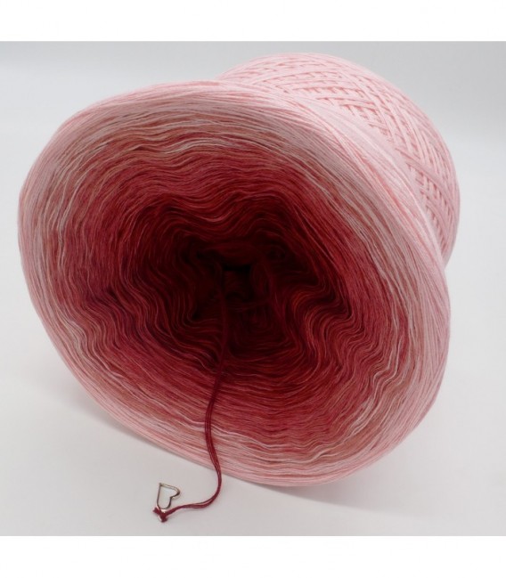 Rosenrot (Rose red) - 4 ply gradient yarn - image 9