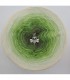 Gräser im Wind (Grasses in the wind) - 4 ply gradient yarn - image 7 ...