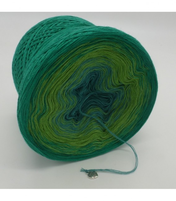 Froschkönig - 3 ply gradient yarn image 8