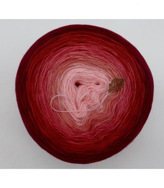 Röschen Rot - 2 ply gradient yarn image 7