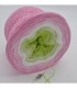 Zarte Blüten - 3 ply gradient yarn image 8 ...