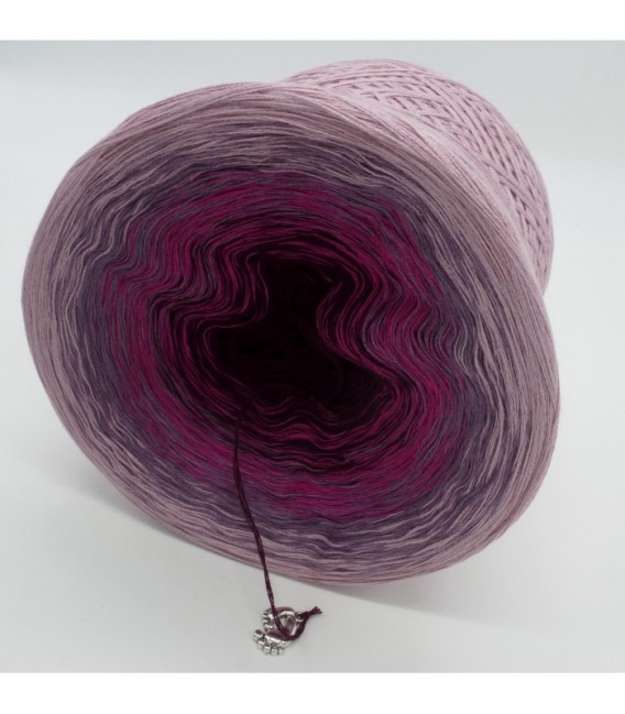 Feelings - 4 ply gradient yarn - image 9