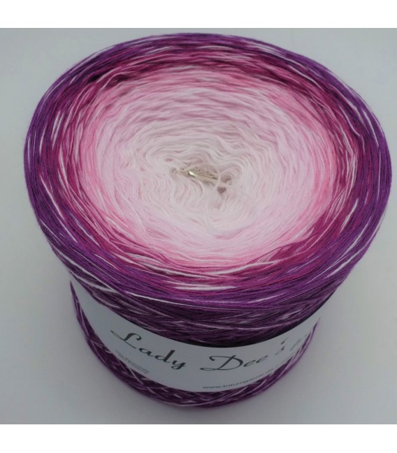 Comtessa - 4 ply gradient yarn - image 2