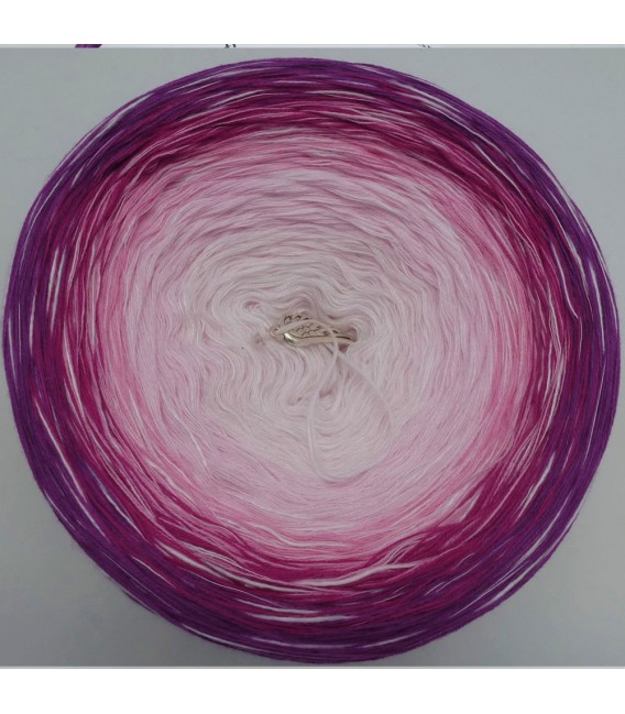 Comtessa - 4 ply gradient yarn - image 3