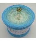 Sonderbobbel Nr. 12 - 4 ply gradient yarn