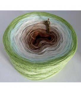 Frühlingswind (spring wind) - 2 ply gradient yarn - image 1