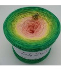 Sonderbobbel Nr. 14 - 4 ply gradient yarn