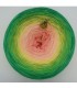 Sonderbobbel Nr. 14 (Special Bobbel No. 14) - 4 ply gradient yarn - image 2 ...