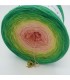 Sonderbobbel Nr. 14 (Special Bobbel No. 14) - 4 ply gradient yarn - image 4 ...
