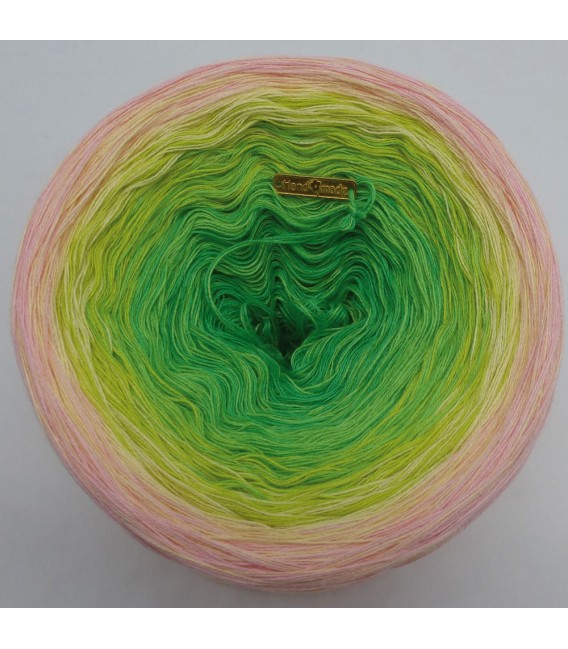 April Bobbel 2019 - 4 ply gradient yarn - image 5