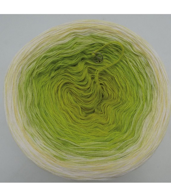 Mai (May) Bobbel 2019 - 4 ply gradient yarn - image 5