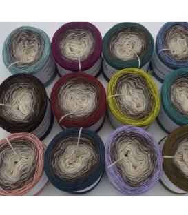 Leipziger Allerlei - Desired color outside - 4 ply gradient yarn - image 1