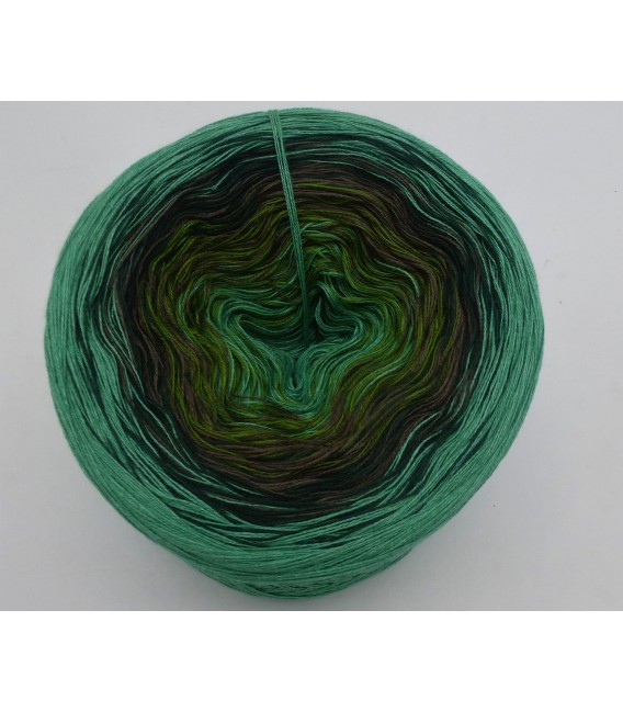 Mystic Forest - 4 ply gradient yarn - image 2