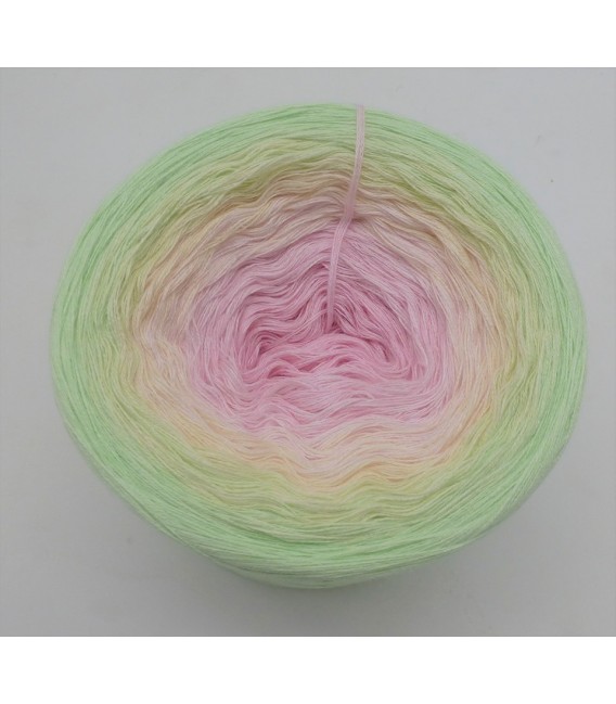 Daisy Boo - 4 ply gradient yarn - image 5