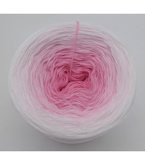 Girls and Roses - 4 ply gradient yarn - image 5