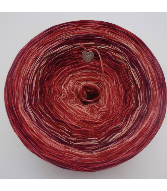 Strudel No. 9 (Swirl No. 9) - 4 ply gradient yarn - image 2