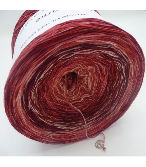 Strudel No. 9 (Swirl No. 9) - 4 ply gradient yarn - image 3