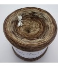 Strudel No. 12 - 4 ply gradient yarn
