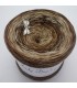Strudel No. 12 (Swirl No. 12) - 4 ply gradient yarn - image 1 ...