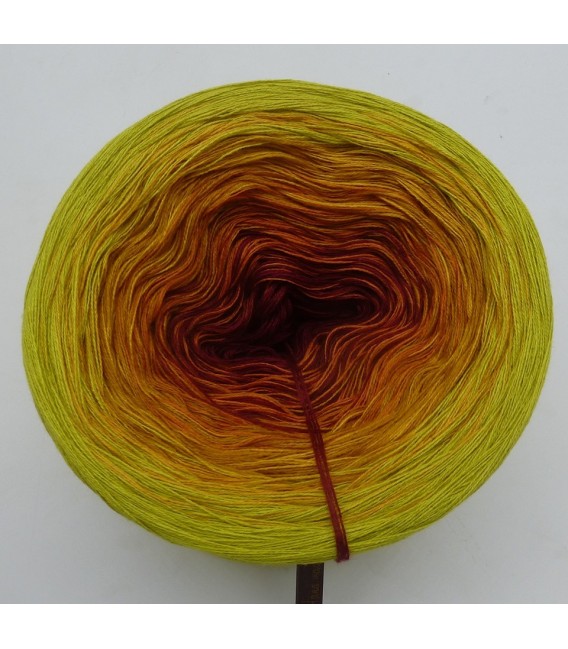 Magic of India - 4 ply gradient yarn - image 3