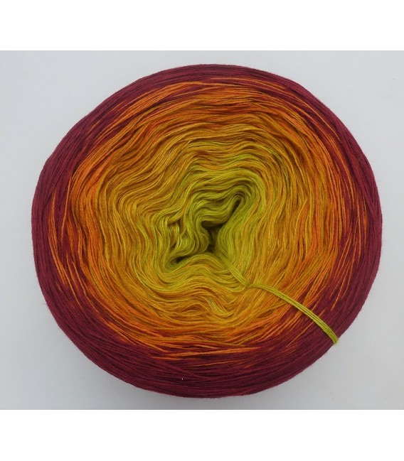 Magic of India - 4 ply gradient yarn - image 5