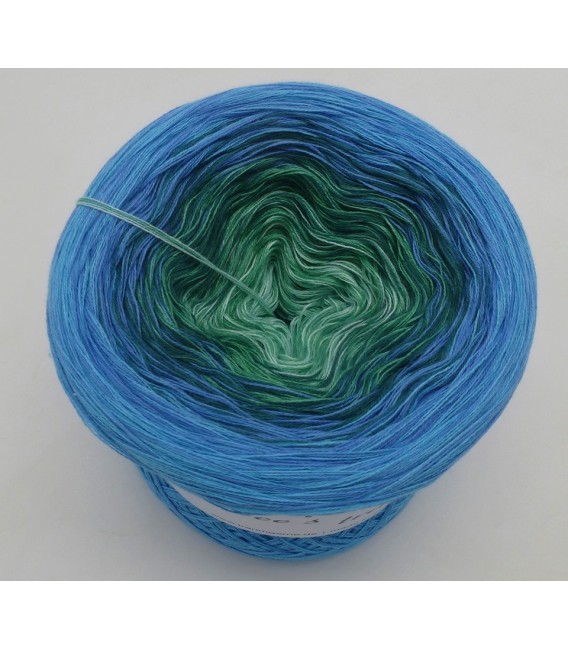Blue Grass - 4 ply gradient yarn - image 3